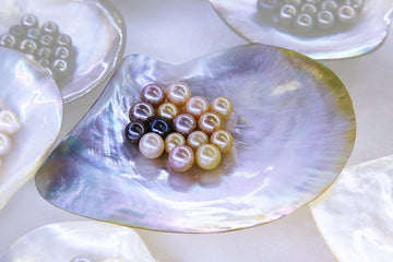 NATURAL PEARLS PLACED INSIDE SHELL OF AN OYSTER